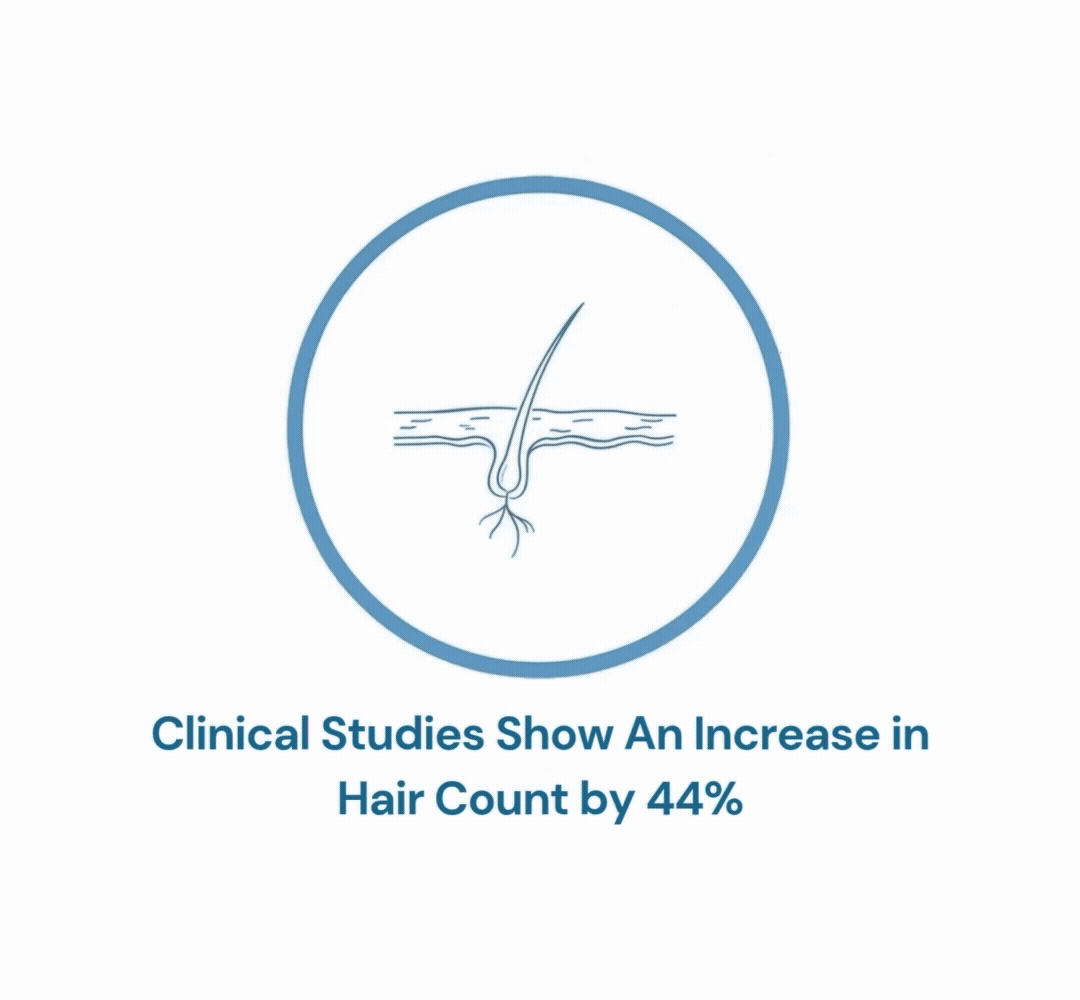 Y&J Bio - easy Hairfull 42 hair increase.2